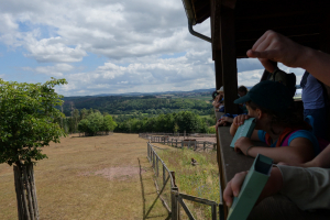 Wölflingsaktion im Tierpark Frankenberg<br/>Blick in den Wildpark (die Tiere verstecken sich noch)